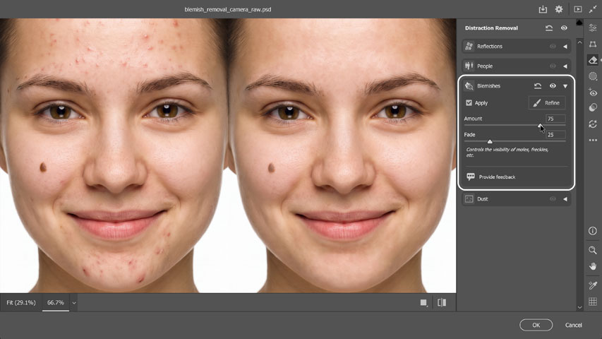 How to use Blemishes Removal in Camera Raw tutoriall
