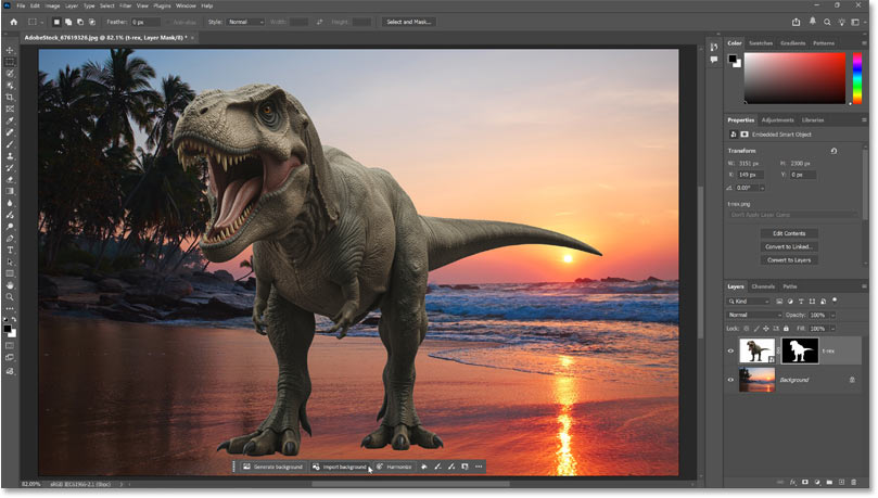 The background has been removed.