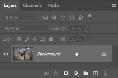 Photoshop's Layers panel.