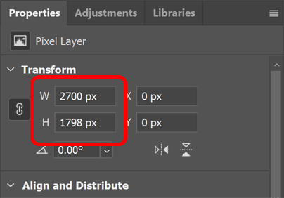 The document size after the crop.