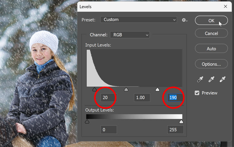 Setting the black and white points to reduce and brighten the flakes.