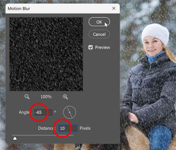 The Motion Blur settings.