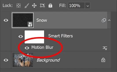 The Motion Blur settings.