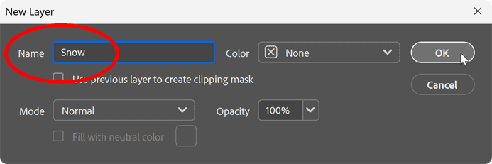 The New Layer dialog box.